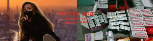 СК Корсаков
