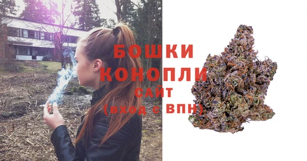 СК Корсаков