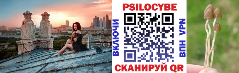 Галлюциногенные грибы мицелий  Купить  Аткарск 